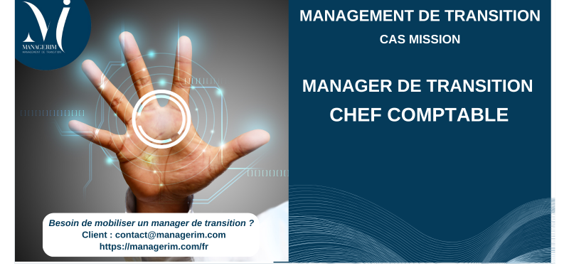 Manager de Transition Chef Comptable Nouvelles Technologies MANAGERIM