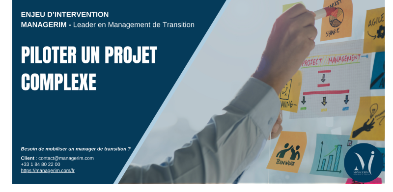 Piloter un projet complexe avec le Management de Transition MANAGERIM