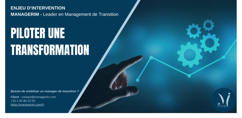 Piloter une transformation avec le Management de Transition MANAGERIM