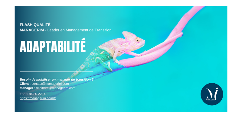 L'adaptabilité chez un Manager de Transition - MANAGERIM