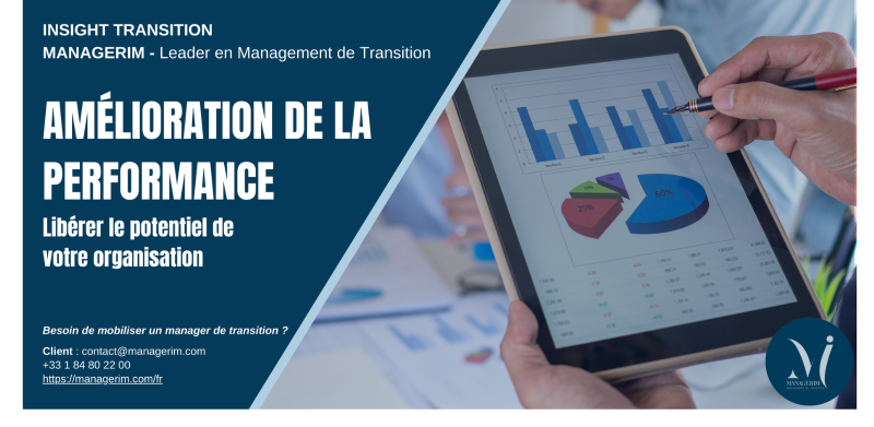 Amélioration de la performance grâce au Management de Transition MANAGERIM