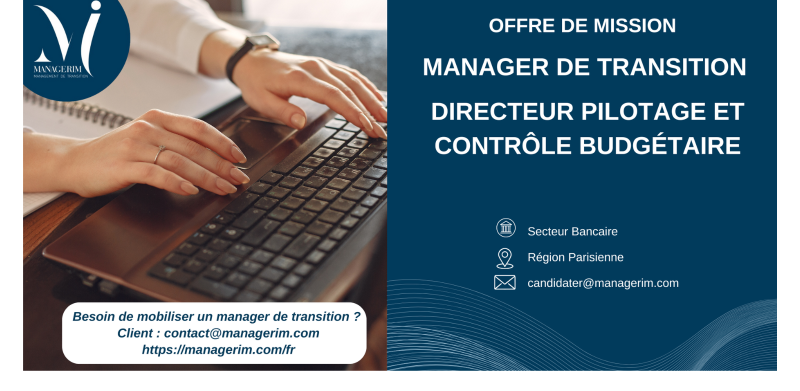 Manager de Transition Directeur Pilotage et Contrôle Budgétaire MANAGERIM