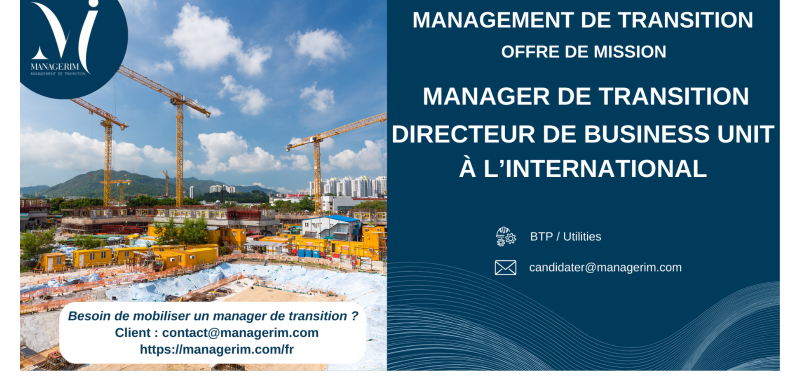 Manager de transition directeur business unit MANAGERIM
