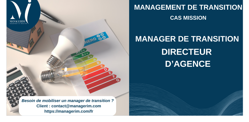 Manager de Transition Directeur d'Agence MANAGERIM