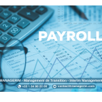 Interim HRIS & Payroll Project Director