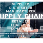Directeur Supply Chain Manager de Transition MANAGERIM