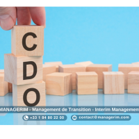 Directeur du Digital (CDO) Manager de Transition MANAGERIM