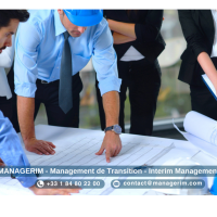 Directeur de Projet Manager de Transition MANAGERIM