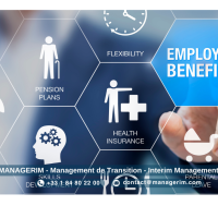 Directeur Rémunérations & Avantages Sociaux Manager de Transition MANAGERIM