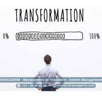 Directeur de la Transformation Manager de Transition MANAGERIM