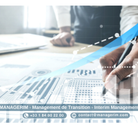 Interim Director of Treasury Directeur Trésorerie Manager de Transition MANAGERIM