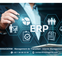 Project Management Officer (PMO) Manager de Transition MANAGERIM