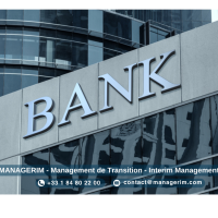 Services Banque Assurance Fonds Investissement Finance Management de Transition MANAGERIM