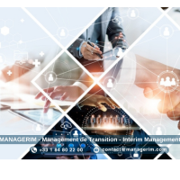 Services Conseil et ESN Management de Transition MANAGERIM