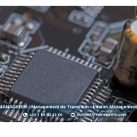 Industrie Electronique Management de Transition MANAGERIM