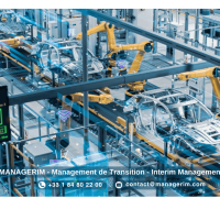Industrie Automobile Management de Transition MANAGERIM