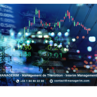 Services Technologies Numérique Médias Télécommunications Management de Transition MANAGERIM