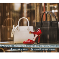 Secteur Luxe et Mode MANAGERIM